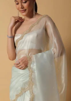 Pista Green Foil Saree In Tissue With Cut Dana Embroidered Borders
