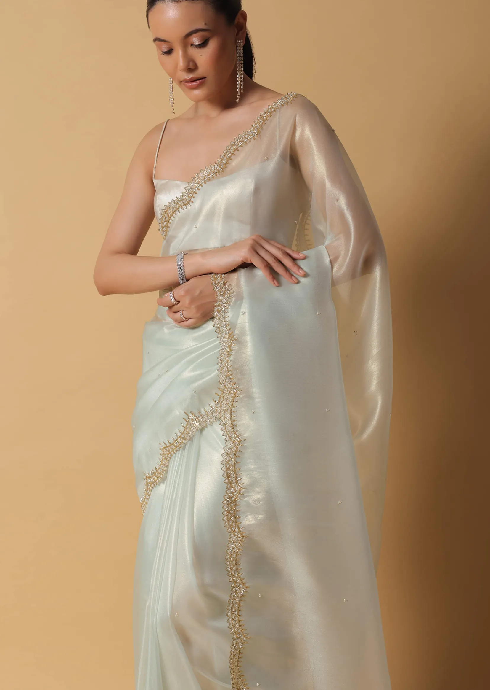 Pista Green Foil Saree In Tissue With Cut Dana Embroidered Borders