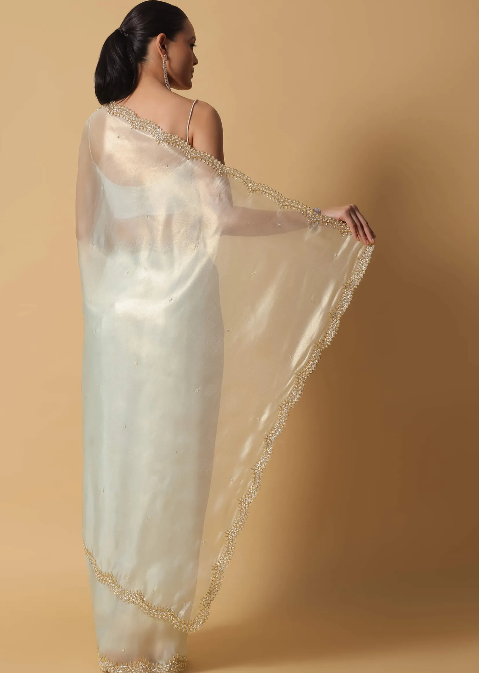 Pista Green Foil Saree In Tissue With Cut Dana Embroidered Borders