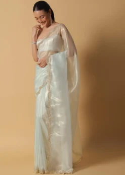 Pista Green Foil Saree In Tissue With Cut Dana Embroidered Borders