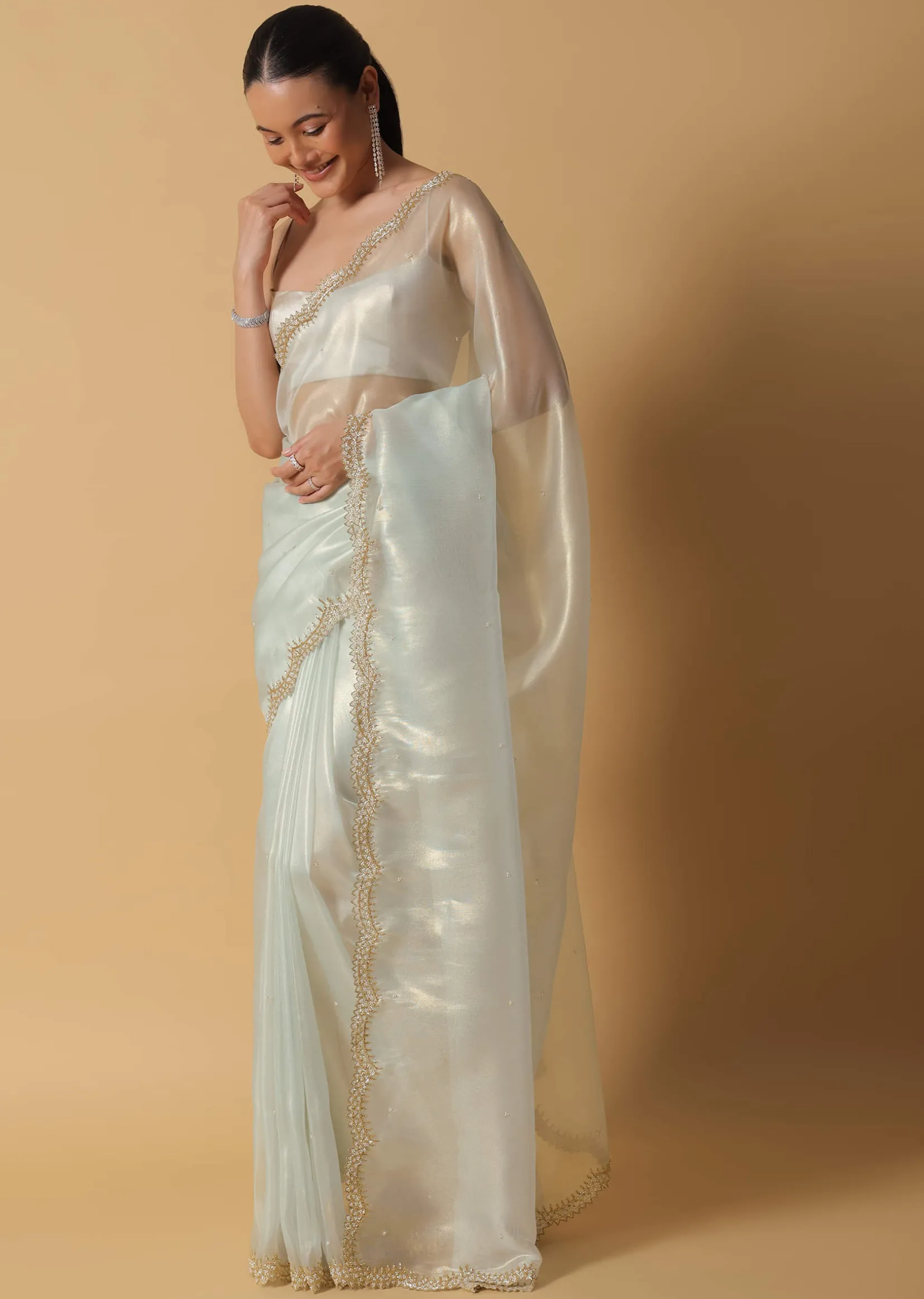 Pista Green Foil Saree In Tissue With Cut Dana Embroidered Borders