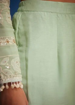 Pista Green Organza Embroidered Straight Kurta Set