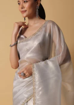 Powder Green Foil Saree In Tissue With Cut Dana Embroidered Borders