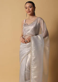 Powder Green Foil Saree In Tissue With Cut Dana Embroidered Borders