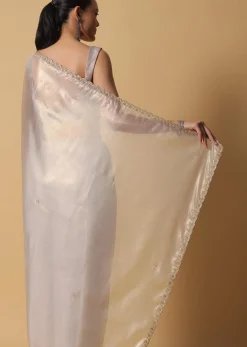 Powder Green Foil Saree In Tissue With Cut Dana Embroidered Borders