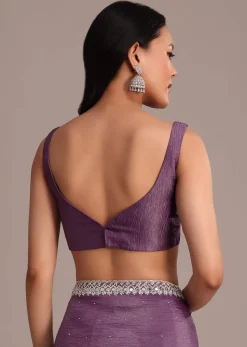 Purple Crushed Tissue Saree With Mirror And Cutdana Embellished Border