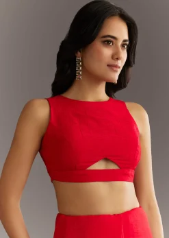 Red Crushed Tissue Embroidered Saree With Scallop Border