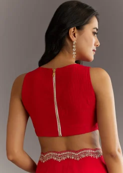 Red Crushed Tissue Embroidered Saree With Scallop Border