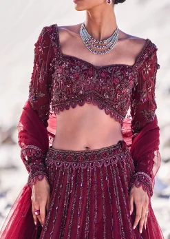 Red Organza Embroidered 12 Kali Lehenga And Blouse With Dupatta
