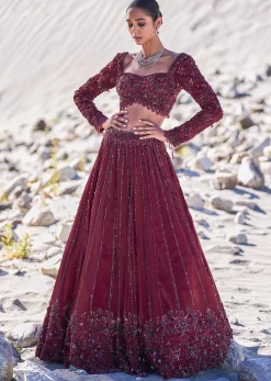 Red Organza Embroidered 12 Kali Lehenga And Blouse With Dupatta