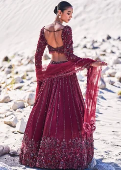 Red Organza Embroidered 12 Kali Lehenga And Blouse With Dupatta