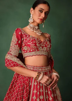 Red Raw Silk Hand Embroidered Lehenga With Net Dupatta