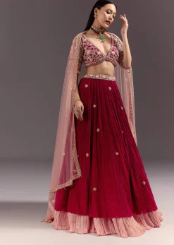 Red Zardosi Embroidered Lehenga Set With Tassel Blouse