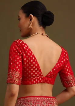 Red Zardosi Embroidered Saree With Unstitched Blouse