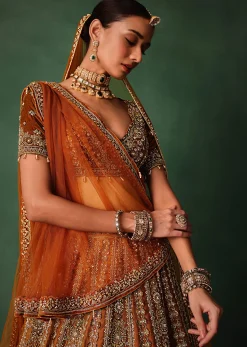 Rust Embroidered Bridal Lehenga With Deep Neckline Blouse And Dupatta