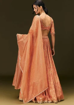 Rust Orange Tassel Embroidered Blouse With Lehenga And Dupatta