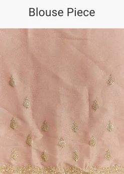Rust Orange Tissue Saree With Zardosi Beads And Sequins Embroidery