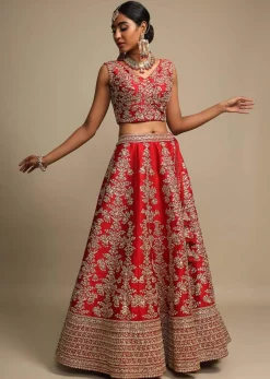 Scarlet Red Lehenga Choli In Raw Silk With Zari Embroidered Feminine Floral Kalis