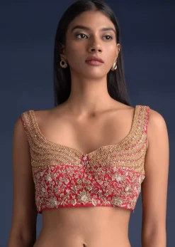 Scarlet Red Sleeveless Blouse In Raw Silk With Floral Jaal And Intricate Cut Dana Work