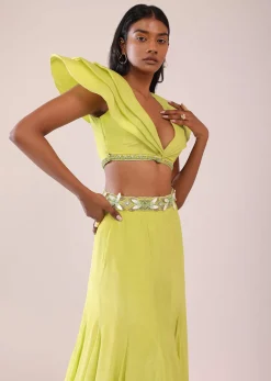 Sheen Green Paneled Lengha And Blouse With Elaborated Sleeves In Crepe