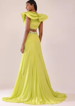 Sheen Green Paneled Lengha And Blouse With Elaborated Sleeves In Crepe