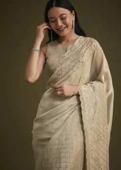Silver Beige Tissue Sequins Saree With Cutdana Detailing