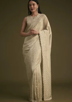 Silver Beige Tissue Sequins Saree With Cutdana Detailing