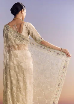 Silver Glass Tissue Saree With Jaal Work And Multicolor Sequin Embroidery