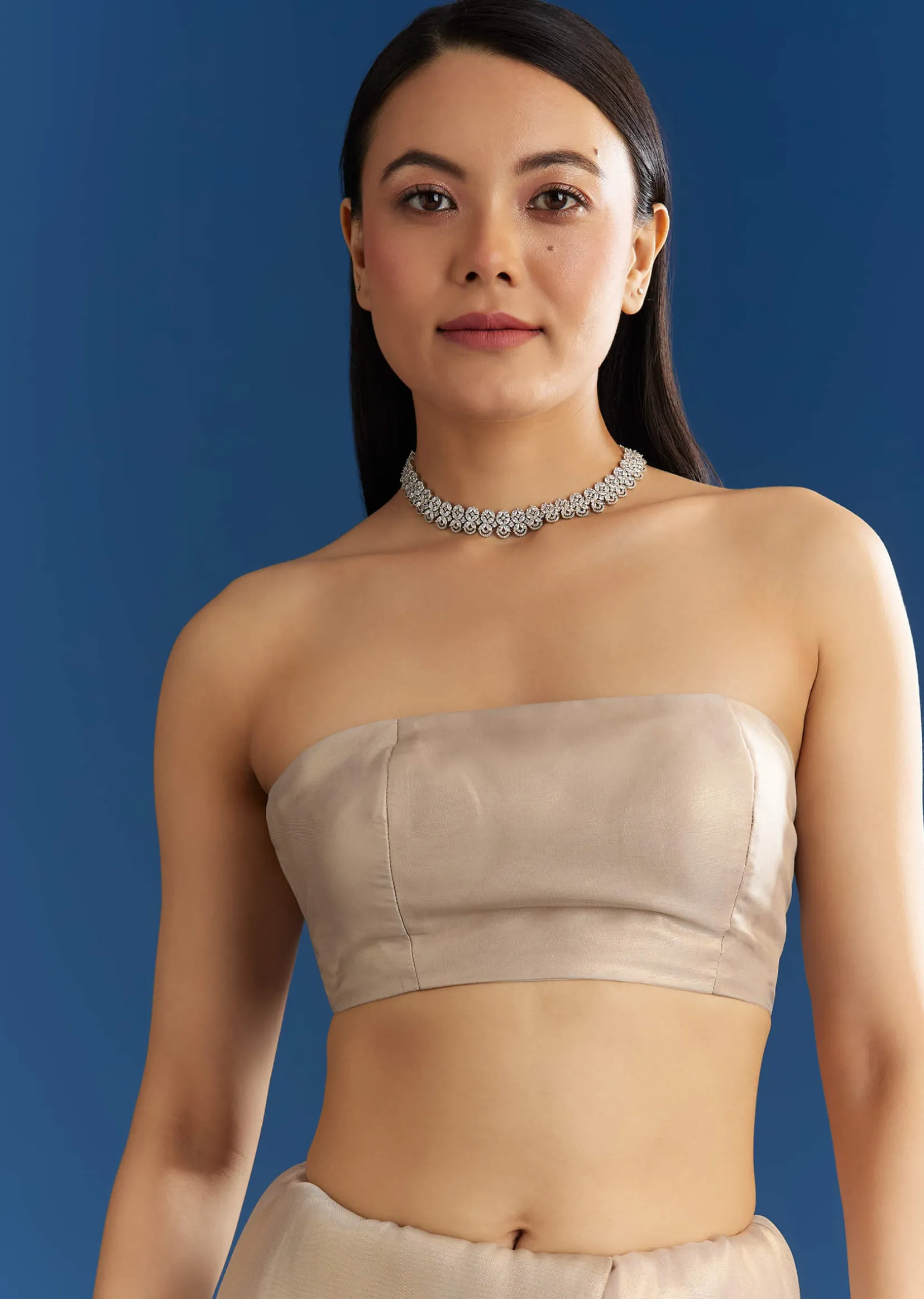 Silver Organza Tissue Saree With Sparkling Border