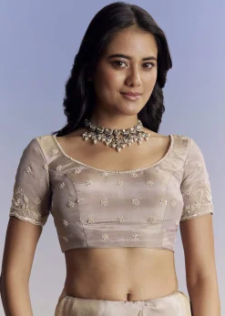 Silver Tissue Saree With Embroidered Scallop Border And Sequin Moti Work