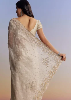 Silver Tissue Saree With Floral Cut Dana Embroidery