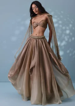 Taupe Brown Embroidered Cowl Lehenga And Cape Blouse In Shimmer Organza