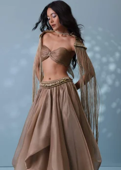 Taupe Brown Embroidered Cowl Lehenga And Cape Blouse In Shimmer Organza