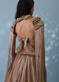 Taupe Brown Embroidered Cowl Lehenga And Cape Blouse In Shimmer Organza