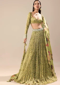 Warm Green Embroidered Skirt And Blouse