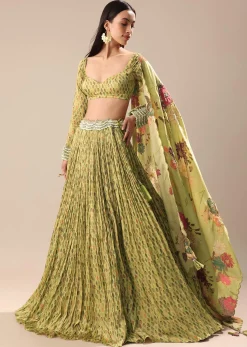 Warm Green Embroidered Skirt And Blouse