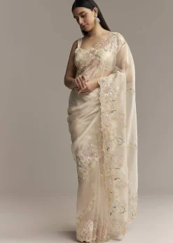 Water Gold Tissue Saree With Multicolor Floral Cutwork Embroidery