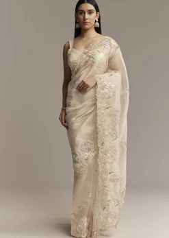 Water Gold Tissue Saree With Multicolor Floral Cutwork Embroidery