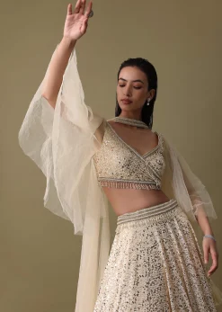 White Embroidered Lehenga And Blouse With Dupatta