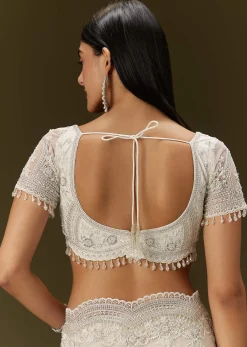 White Net Saree With All Over Embroidery