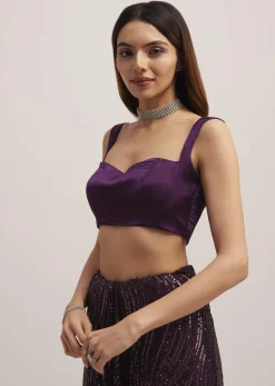 Wine Purple Sequins Saree With An Embellished Border