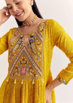 Yellow Dola Silk Gown With Embroidery