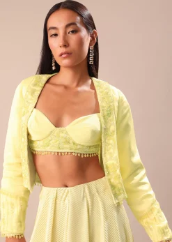 Yellow Ombre Organza Blouse And Palazzo With Jacket