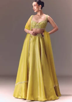 Yellow Organza Double Circular Lehenga Set With Hand Work