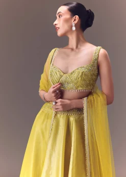 Yellow Organza Double Circular Lehenga Set With Hand Work