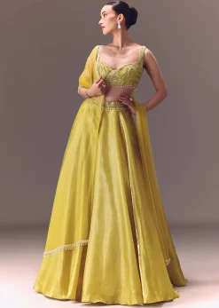 Yellow Organza Double Circular Lehenga Set With Hand Work
