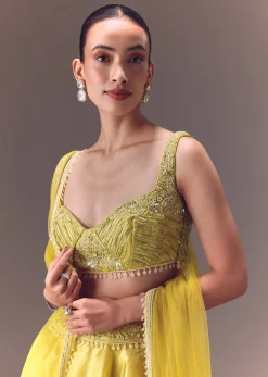 Yellow Organza Double Circular Lehenga Set With Hand Work