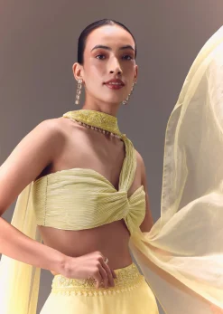 Yellow Pre-Pleated One Shoulder Blouse With Frill Lehenga And Choker Dupatta